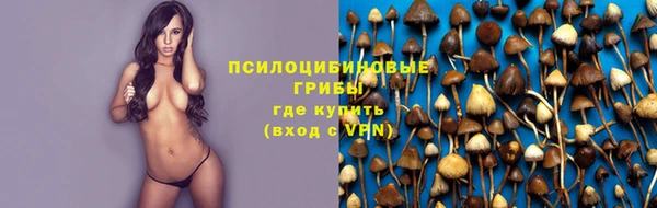 Альфа ПВП Белокуриха
