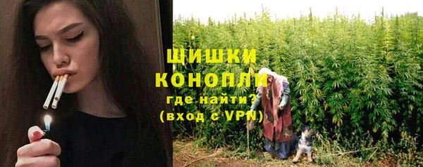 Альфа ПВП Белокуриха