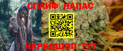 спиды Бийск