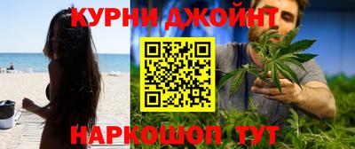гидра Беслан