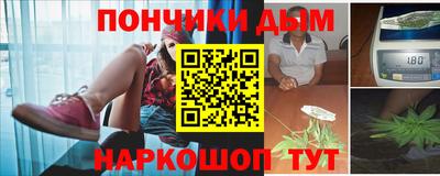 гидра Беслан